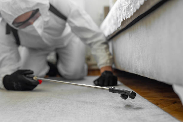 Professional Bed Bug Control technician working in Teton County County, MT